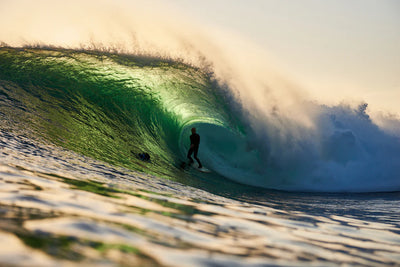 Russel Bierke | Van Diemen's Land To The North Shore